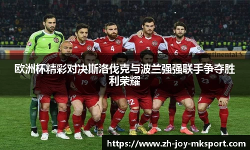 欧洲杯精彩对决斯洛伐克与波兰强强联手争夺胜利荣耀
